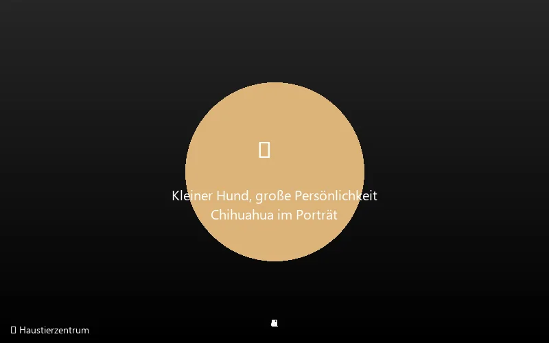 Chihuahua Herkunft und Geschichte