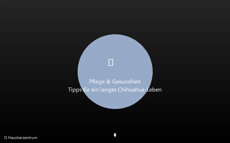 Chihuahua Pflege und Gesundheit