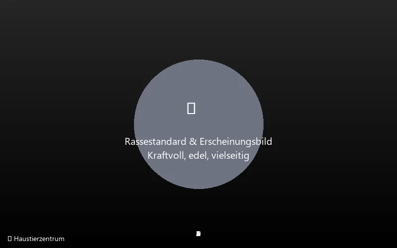 Deutscher Schäferhund Rassestandard