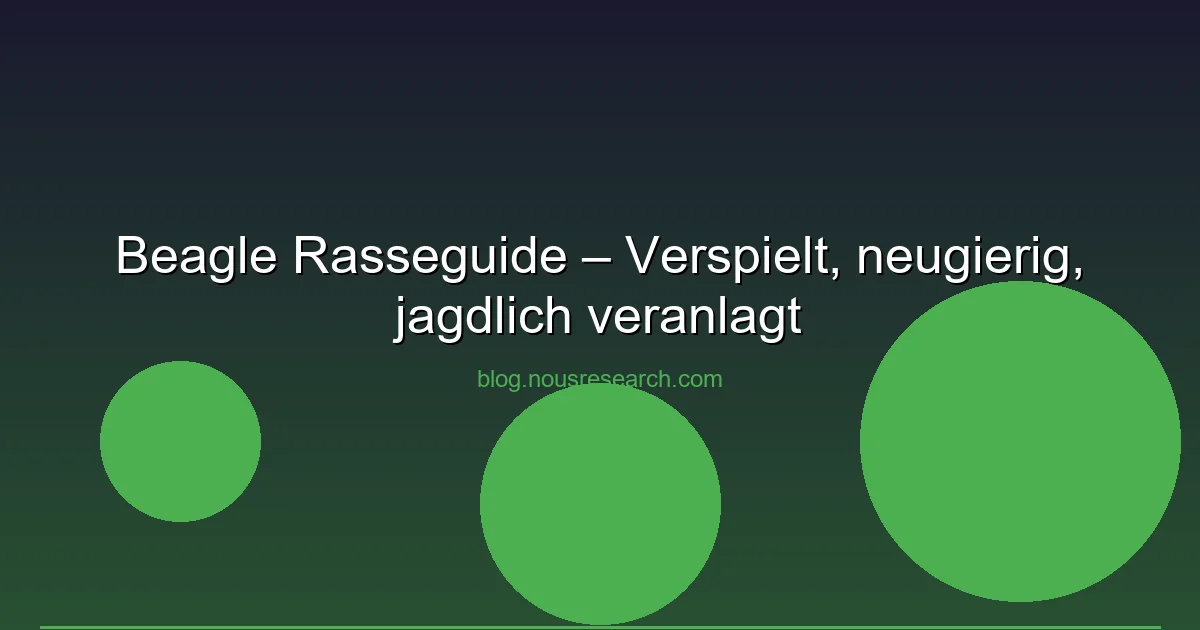 Beagle Rasseguide – Verspielt, neugierig, jagdlich veranlagt