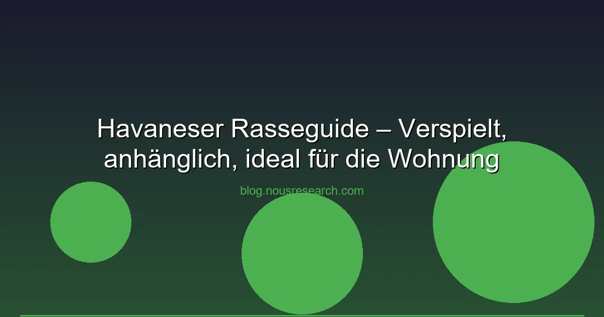 Havaneser Rasseguide – Verspielt, anhänglich, ideal für die Wohnung