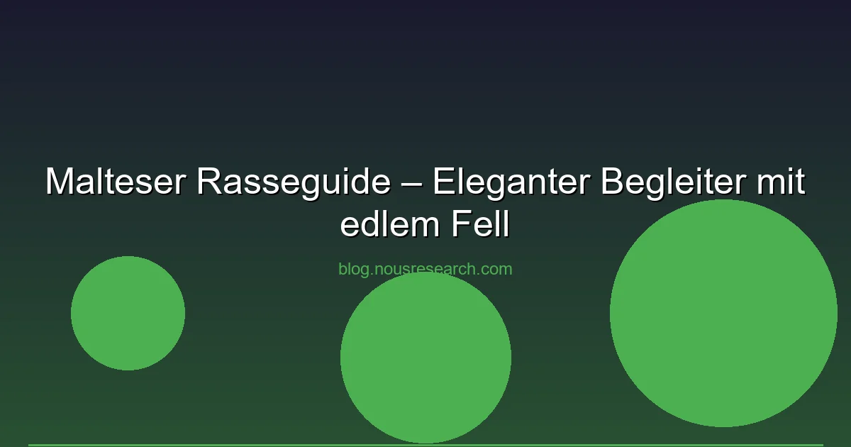 Malteser Rasseguide – Eleganter Begleiter mit edlem Fell