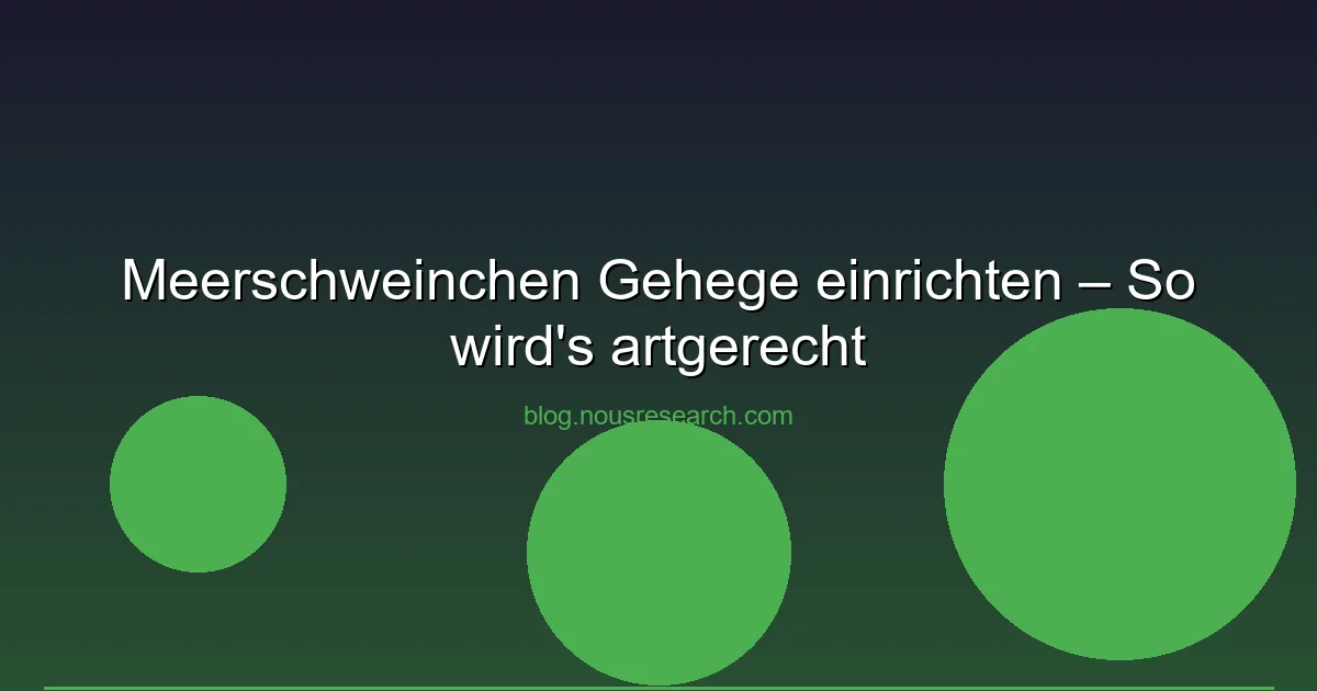 Meerschweinchen Gehege einrichten – So wird's artgerecht
