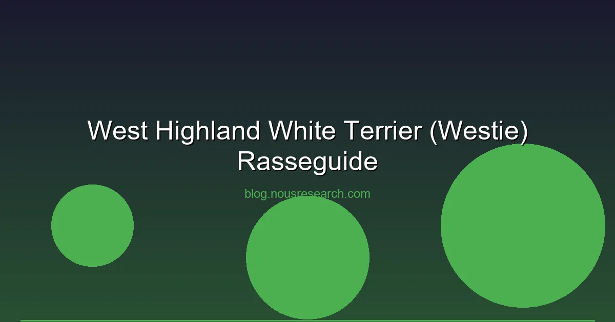 West Highland White Terrier (Westie) Rasseguide