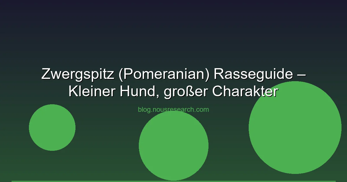 Zwergspitz (Pomeranian) Rasseguide – Kleiner Hund, großer Charakter